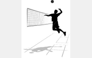 MUTISPORT VOLLEY