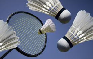 MULTISPORT BADMINTON