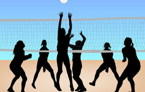 MULTISPORT VOLLEY